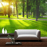 高清绿色森林草地风景3D立体电视背景墙壁纸客厅沙发无缝墙纸壁画