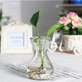 风信子玻璃花瓶 办公室绿萝铜钱草水培花水立方现代简约创意透明