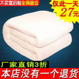 5斤新疆棉花被芯纯棉被胎被子棉絮床垫垫被棉被垫絮冬被褥子垫褥