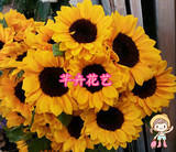 上海鲜花批发 向日葵 太阳花10支一扎起批家庭办公插花生日送花