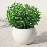 仿真尤加利绿色植物陶瓷小花瓶花盆套装 隔板餐桌小摆件装饰品