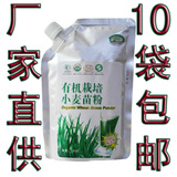 10袋包邮春明牌有机栽培小麦苗粉150g 出口日本小麦草青汁粉若叶