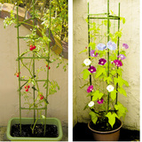 5个包邮 超好用组合式园艺支架 植物攀爬支架 西红柿支架花支柱