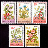 外国邮票 罗马尼亚1993年 花卉 邮票5枚 新票