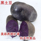 蔬菜种子 黑土豆种子  纯正的黑金刚土豆 蔬果菜籽 一级原种