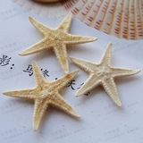 天然海星2.0cm左右 米色小海星 海螺贝壳 家居鱼缸地台装饰10颗