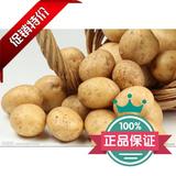农场直销 优质新鲜有机土豆 小土豆 洋芋 山药蛋   5.5元/500g