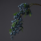 仿真果实植物家里家庭花瓶整体插花艺塑料假蓝莓家具摆设软装饰品