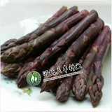 【紫色芦笋种子】 进口种子 紫芦笋种子 高端保健果蔬种子 10粒