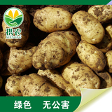 内蒙古 薯都 优质土豆 黄皮马铃薯 农家肥山药蛋 新鲜蔬菜5斤包邮
