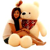 泰迪熊公仔毛绒玩具熊1.6米抱抱熊女生布娃娃送女友大号熊猫公仔