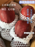 甘肃天水花牛苹果新鲜红蛇果平安果粉面苹果刮泥苹果一箱8斤