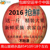 【尧坝】新鲜苹果水果陕西洛川红富士10斤批发包邮85#农家大脆甜