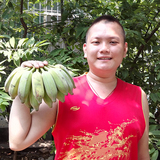 海南三亚 新鲜水果 芭蕉5斤装空运包邮 润肠通便 比香蕉好吃