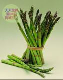 蔬菜之王芦笋  新鲜常熟  同城配送 有机蔬菜 切光白根500g/份