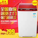 韩派 XQB65-6065 6.5kg波轮洗衣机全自动 家用迷你烘干漂洗一体快