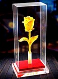 金玫瑰 24k金箔金玫瑰花康乃馨 工艺品花朵 情人节礼物 绒沙金