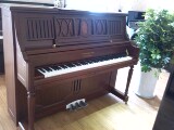 德国斯坦伯格钢琴/Sterinborgh  精品典藏I号KU250