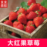草莓种子 有机蔬果盆栽蔬菜 红颜 草莓 家庭阳台盆栽种菜 30粒