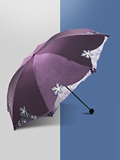 天堂伞女款精致镂空蕾丝刺绣防紫外线黑胶折叠晴雨伞