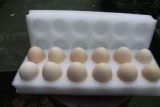四川正宗农家散养 初产土鸡蛋 纯天然无污染红心土鸡蛋12只装