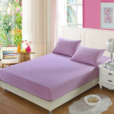 纯色全棉斜纹床笠单件 纯棉席梦思床垫松紧防滑保护套罩 优雅紫色