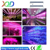 LED植物灯12W植物灯条|蔬菜花卉多肉植物|温室园艺夜间补光育苗灯