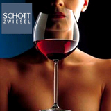 包邮！德国进口Schott水晶杯红酒杯高脚杯大号葡萄酒杯玻璃酒杯子