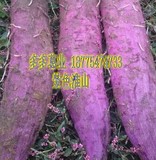 大量供应紫山药种子、紫玉山药种苗、紫色淮山种苗、紫肉淮山种子