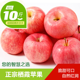 烟台苹果 水果新鲜红富士栖霞苹果10斤冰糖心霜降苹果批发特产