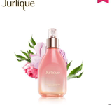 茱莉蔻2015年全球限量玫瑰衡肤花卉水沁润200ml保湿