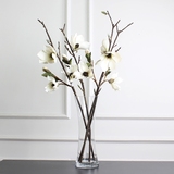 桌面玻璃花瓶 现代简欧创意时尚透明花器 客厅富贵竹玉兰花艺摆设