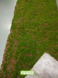 仿真草坪青苔草坪工假草皮人造植毛石地毯绿植草墙苔藓草坪背景墙