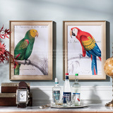 美式客厅卧室餐厅墙面装饰有框动物壁画挂画 鹦鹉手稿H