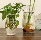 透明玻璃花盆 绿萝水培花瓶 恐龙蛋花瓶简约水养植物器皿大号容器