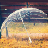 16骨透明雨伞 长柄伞 日本韩国创意自动明星男女雨伞广告伞 包邮