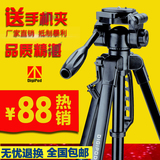 缔杰TR452铝合金三脚架单反便携相机摄影三角架微单手机自拍支架