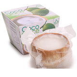 现货进口新鲜水果 泰国COCO椰子冻2个装 椰奶冻椰皇 全国顺丰包邮