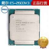 Intel/英特尔 E5-2603V3 戴尔服务器拆机CPU 6核 正式版 保三年