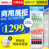 XINGX/星星 LSC-236C 商用冷柜冰柜立式冷藏展示柜单门保鲜饮料柜