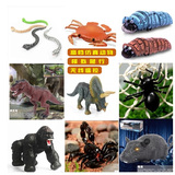 儿童玩具遥控模型动物仿真电动玩具 恐龙螃蟹蛇毛毛虫 整人玩具