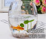 鹅蛋水养花卉花瓶 水培植物玻璃透明室内花瓶花盆 鱼缸特价包邮