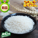 东北正宗五常米新米龙凤山农家自产好大米纯稻花香米正品5斤包装