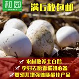 土鹅蛋新鲜 孕妇去胎毒 当天纯天然草鹅蛋农家散养大鹅蛋处子特产