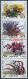 风风邮币 2002-14 沙漠植物邮票 （第一组沙漠花卉套票）漂亮