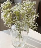 欧美乡村高档彩色玻璃透明花瓶水培瓶富贵竹花瓶卧室客厅桌面插花