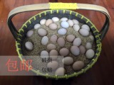 30枚土鸡蛋农家散养新鲜自养初生蛋当天纯天然月子正宗有机土特产