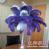 紫色鸵鸟羽毛 婚庆路引桌花摆设羽毛舞台室内软装拍照演出道具