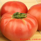 【广惠】 天津 蔬菜配送 新鲜蔬菜 西红柿同城送货 网上买菜 送货