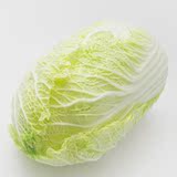 【燎原特惠】新鲜 大白菜 绿色种植绿色无公害蔬菜新鲜青菜顺丰